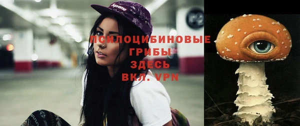 mix Арсеньев