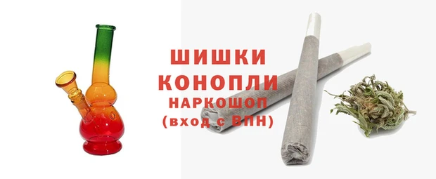 прущие грибы Красноперекопск