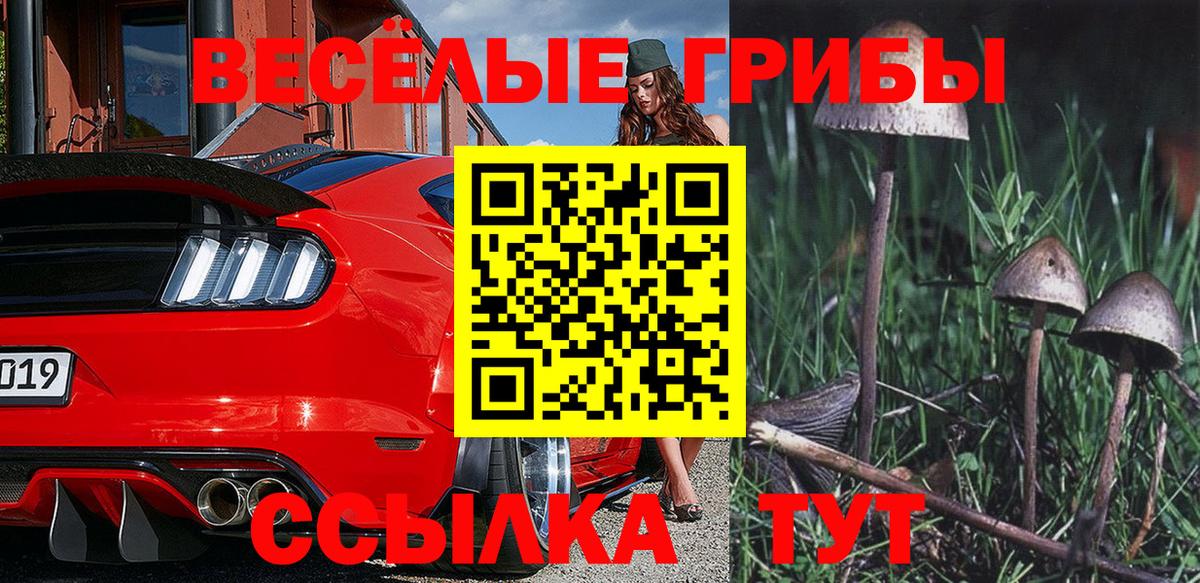 Галлюциногенные грибы MAGIC MUSHROOMS  Вход с VPN  Сибай 