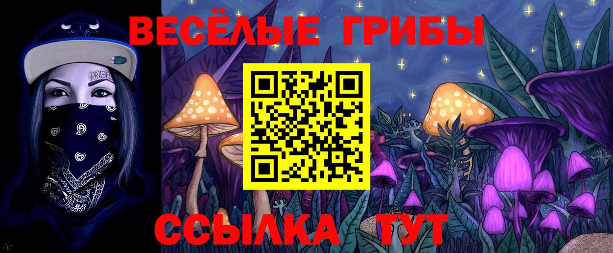 Псилоцибиновые грибы Magic Shrooms Сибай